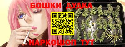 крисы Конаково