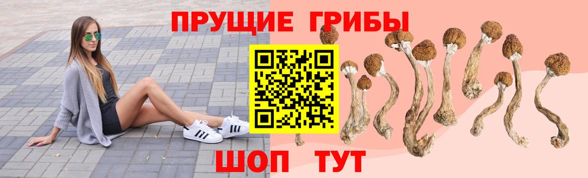 Псилоцибиновые грибы MAGIC MUSHROOMS Комсомольск-на-Амуре